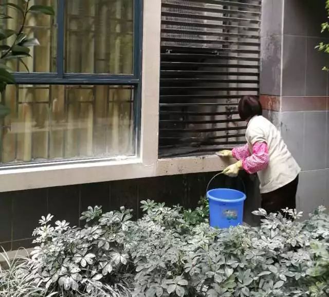 6889ac74fba68a7f9c25acd8900f6f35.jpg 6889ac74fba68a7f9c25acd8900f6f35.jpg